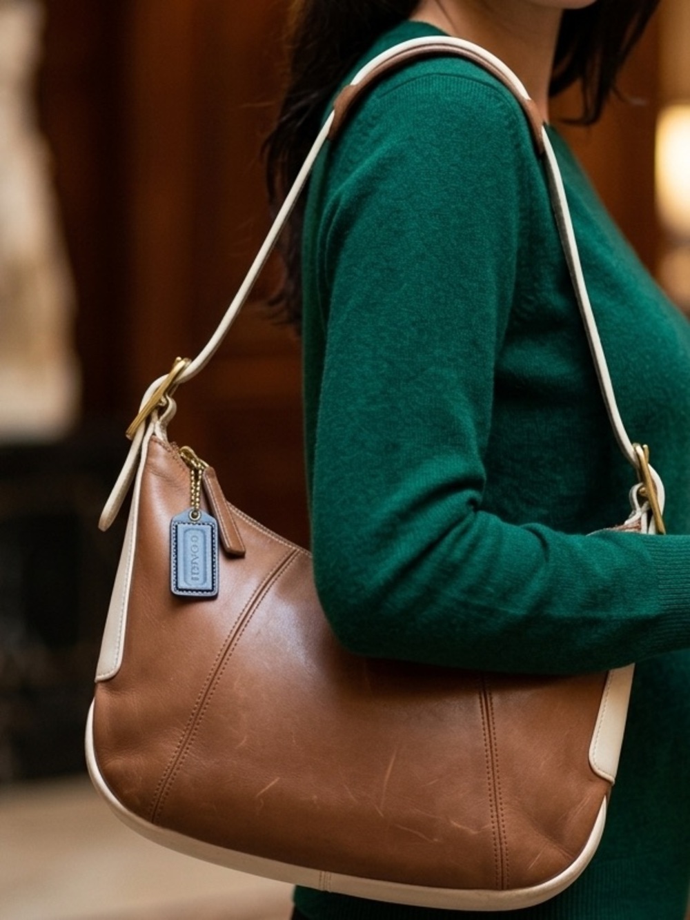 Coach Luxury Leather Purse